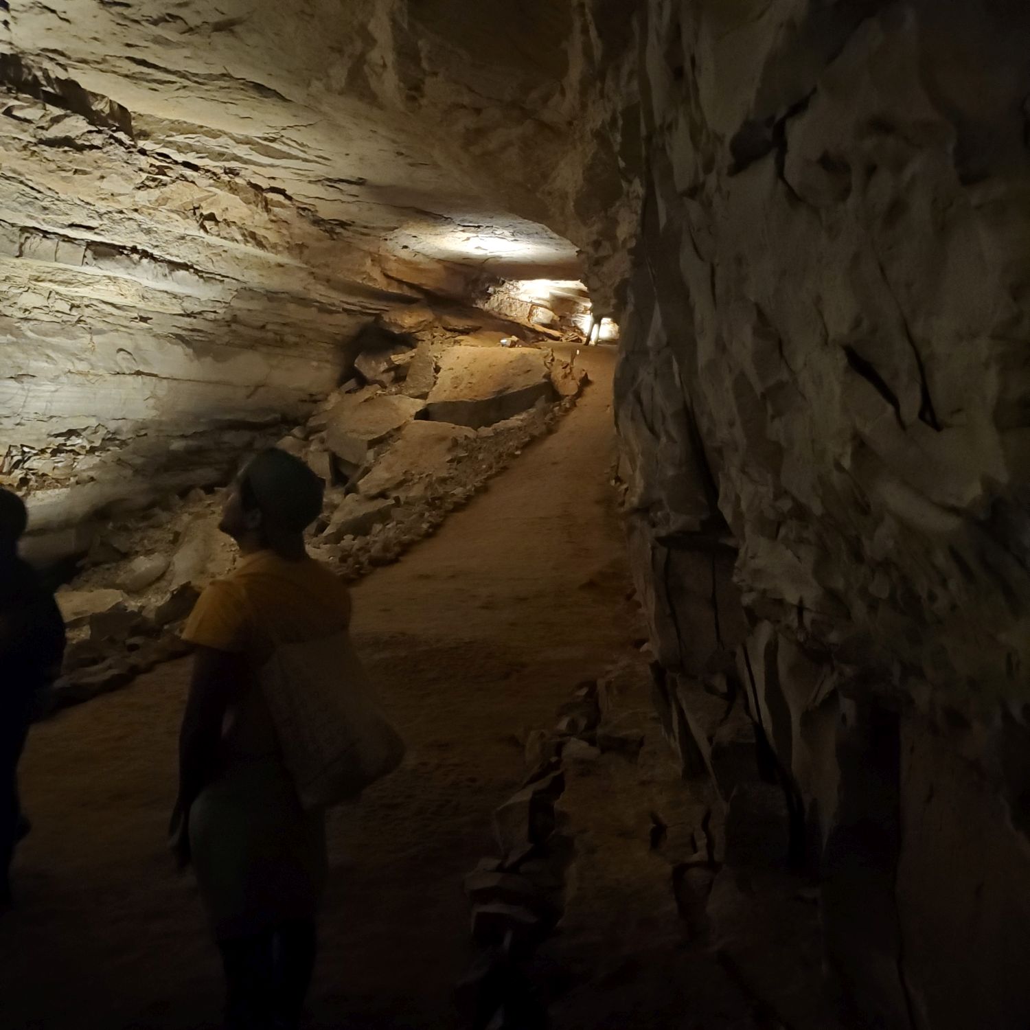 Mammouth Cave Cleaveland Avenue Tour 